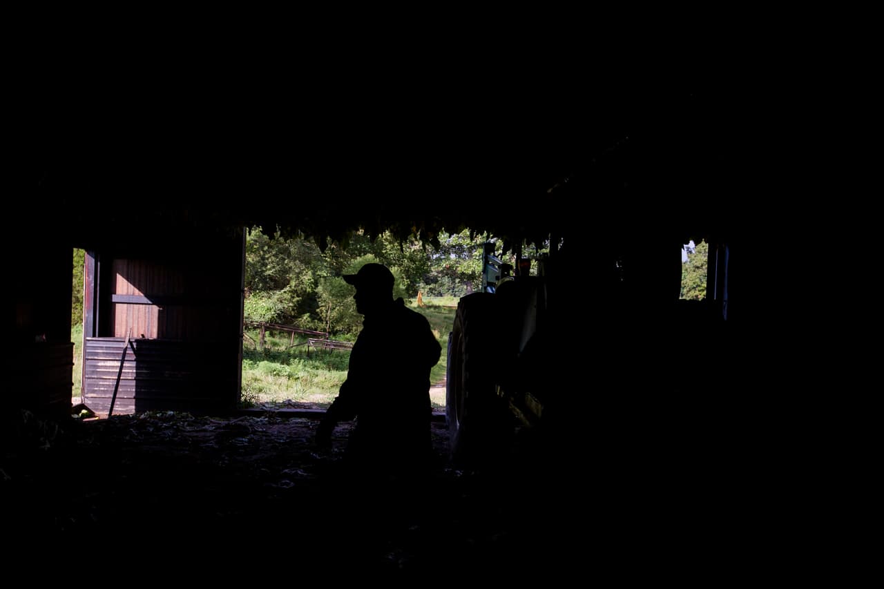Una vez quedan colgadas las cientos de hojas, las dos puertas del granero son cerradas casi herméticamente para poner a arder el suelo y secar las hojas. (Nacho Corbella/Univision Noticias)