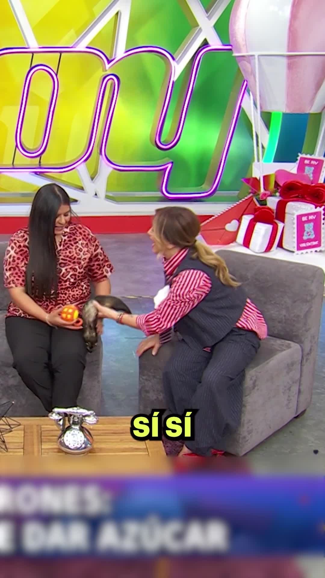 HuronAarón: Aarón Mercury se enamora de los hurones y ellos de él