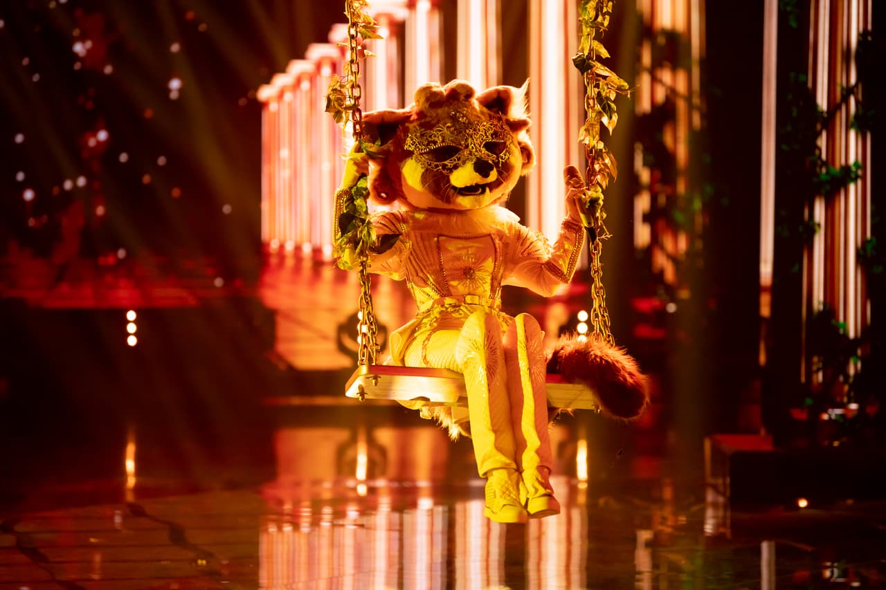 El último personaje de este triple combate fue Mapache, quien inició con un ritmo muy tranquilo, pero al final nos puso a bailar a todos cuando comenzaron a sonar los acordes del tema 'Sin Tu Amor'.