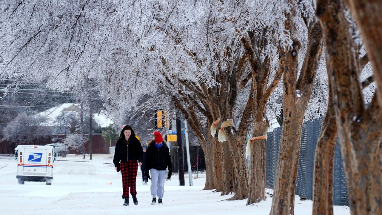 La gente camina por una acera a lo largo de una carretera muy transitada donde las copas de los árboles se congelaron después de una tormenta de invierno que se trasladó durante la noche en Richardson, Texas, jueves 3 de febrero de 2022.