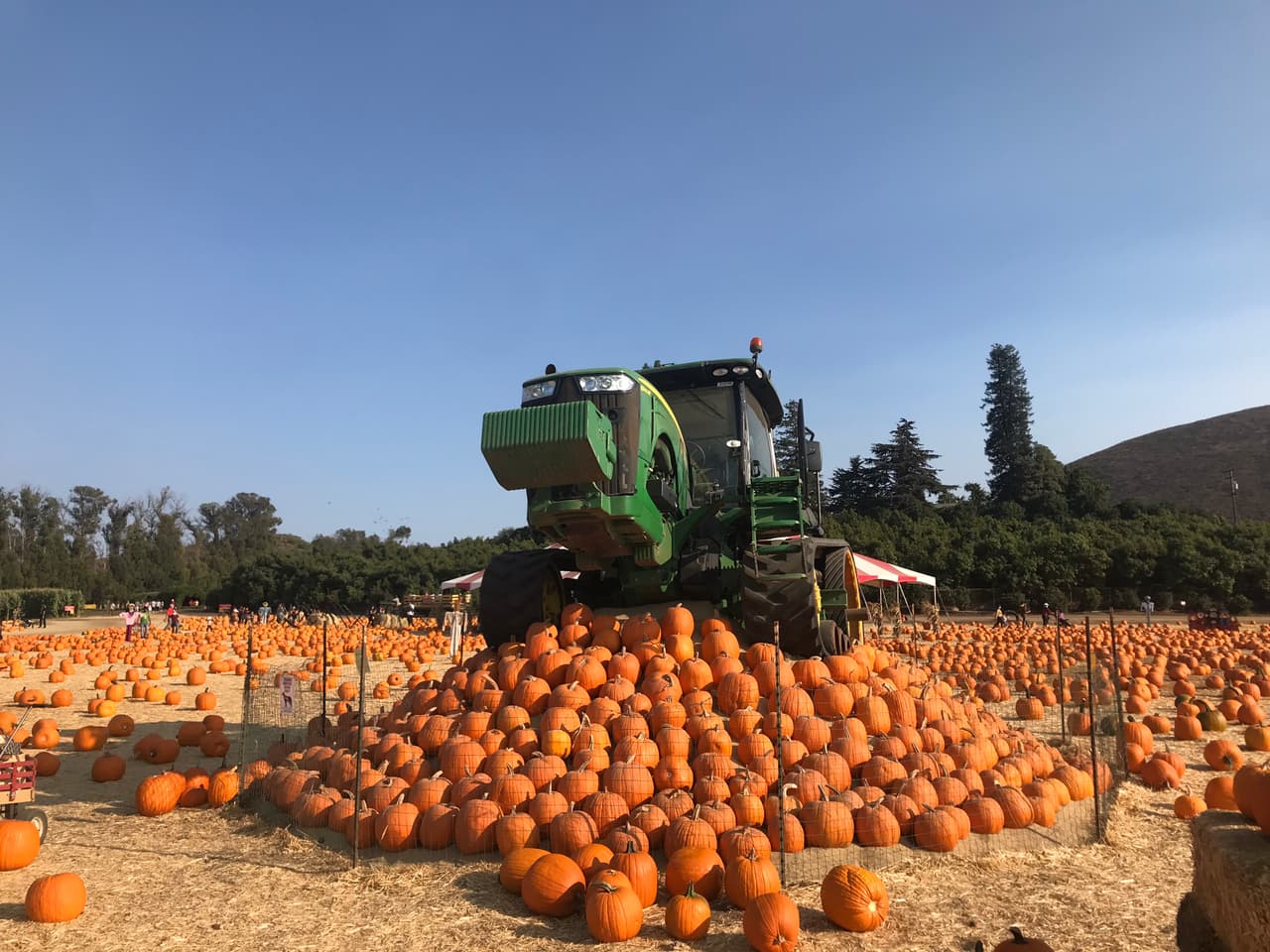Los escenarios para tus fotos de temporada los encontrarás en todo el recorrido.
