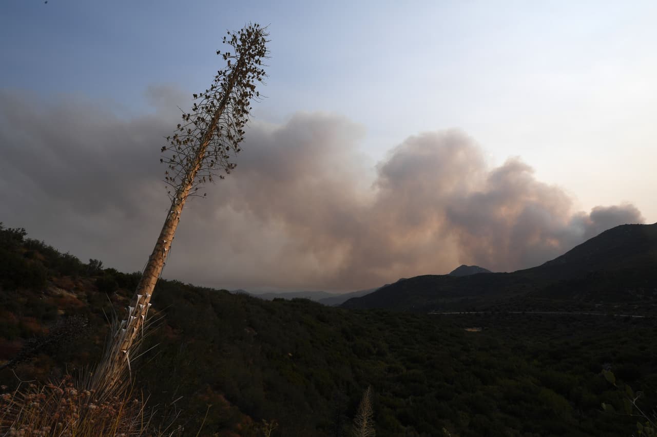 Smoke from the Bobcat fire rises in the Angeles National Forest above Duarte, California, about 27 miles (43 km) northeast of Los Angeles, September 7, 2020. - Eight national forests in California have been closed as firefighters battle blazes across the state which is in the grips of a record-setting heat wave. (Photo by Robyn Beck / AFP) (Photo by ROBYN BECK/AFP via Getty Images)