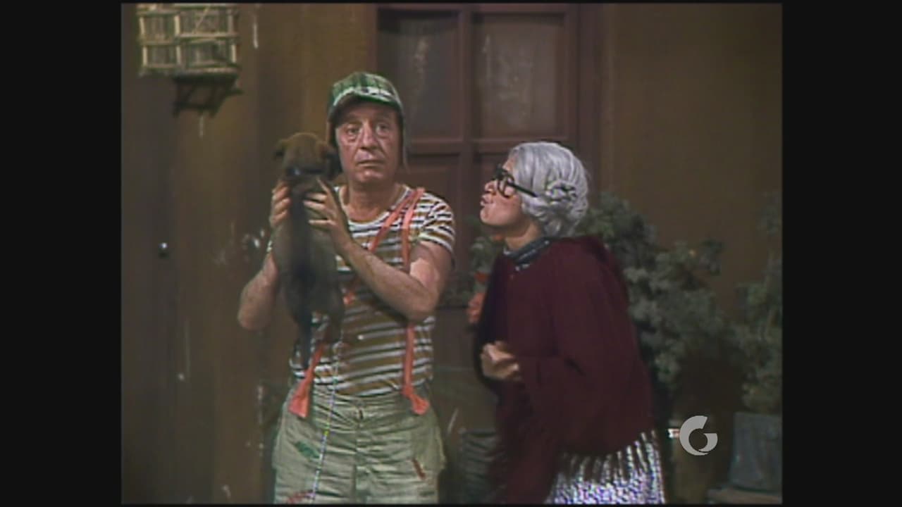 Siempre que llega de visita nos pone de muy buen humor con sus ocurrencias.