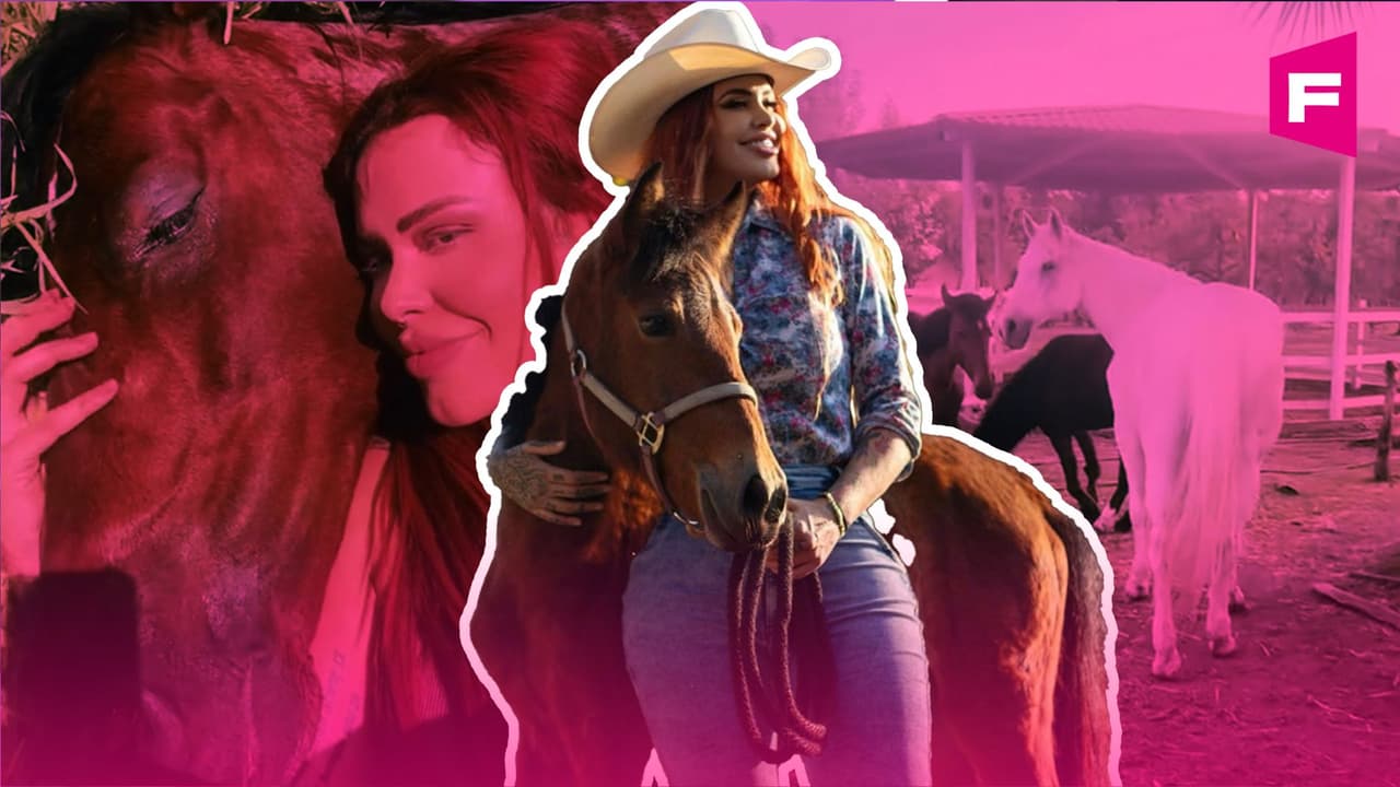 Falleció Elena Larrea: la activista que salvó caballos con OnlyFans