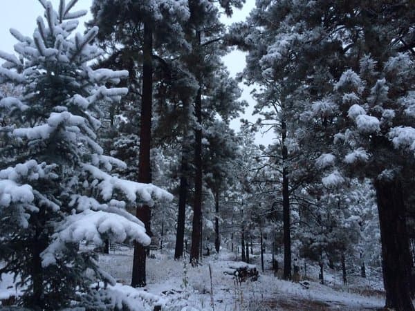 La primera nevada azota al norte de Arizona