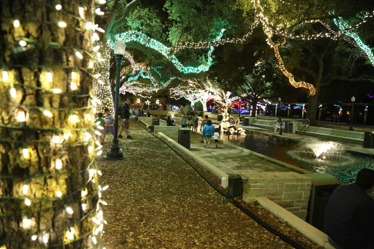 Las decenas de robles del parque fueron iluminados con miles de luces que cambian de colores y se encienden y apagan al ritmo de música navideña.