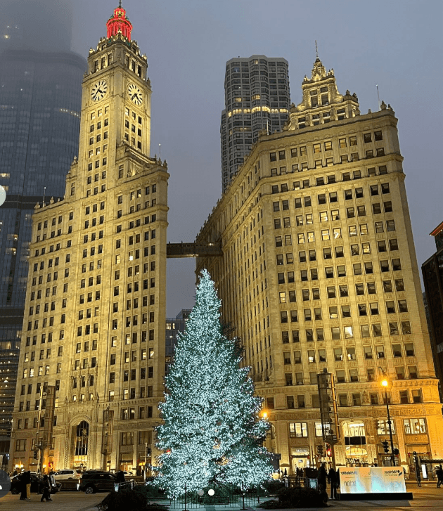 En el corazón de la avenida Michigan, en Pioneer Court, podrás encontrar este árbol.