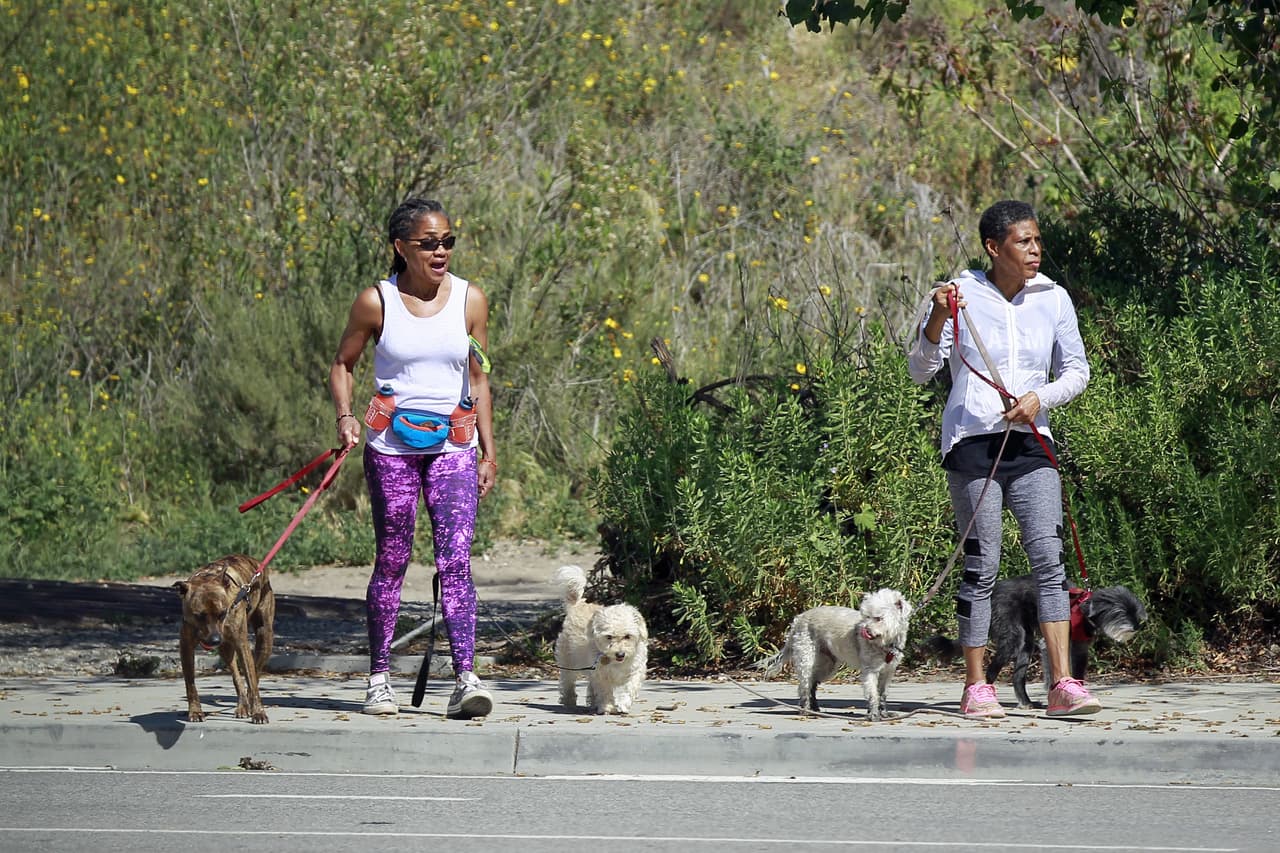 El domingo fue vista contenta, despreocupada y acompañada en una larga caminata a sus perros en Los Ángeles, donde reside.