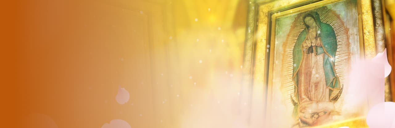 La Rosa de Guadalupe