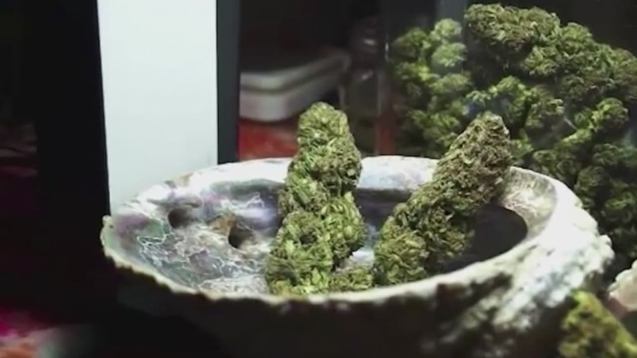 “Todavía es ilegal y será mejor si la dejan en la casa”, advierte el alguacil del condado Bexar  en torno al uso de marihuana
