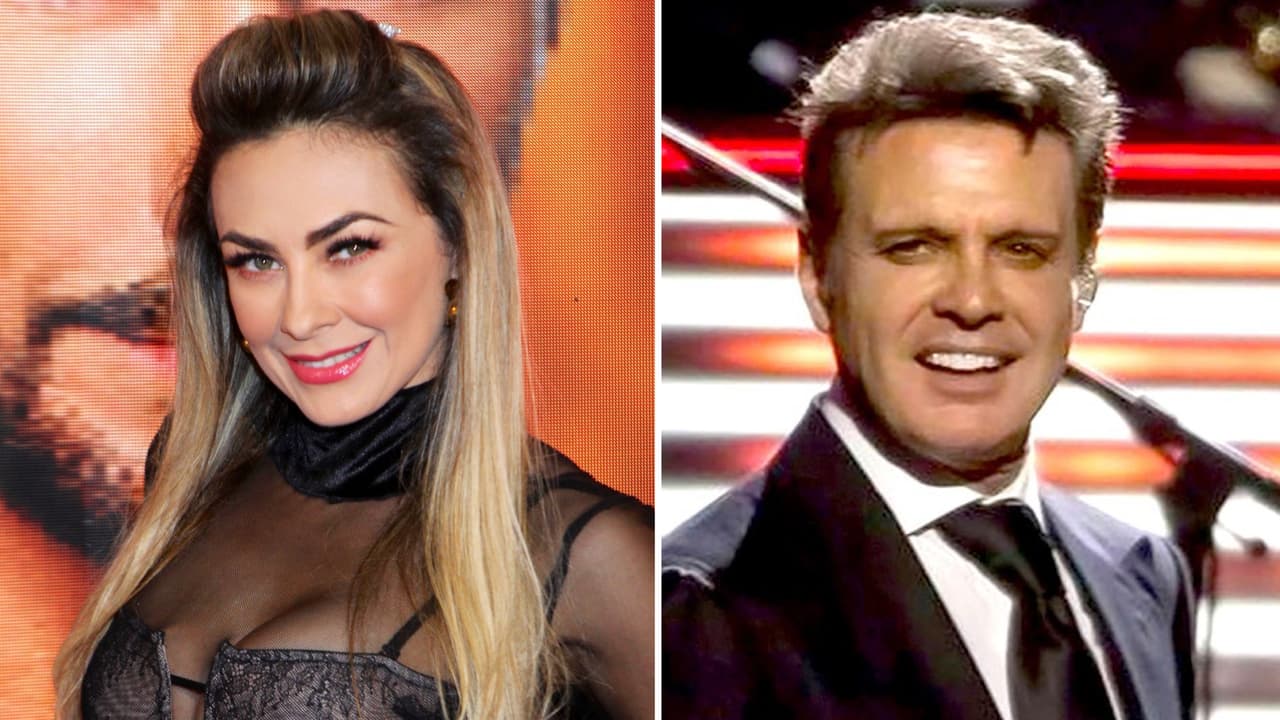 ¿Se acabó el pleito legal entre Luis Miguel y Aracely? Abogado de la actriz revela información