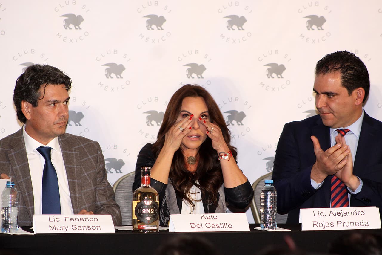 Ofreció una conferencia de prensa que 
<b><a href="http://https://www.eluniversal.com.mx/espectaculos/farandula/jose-maria-yazpik-trollea-kate-del-castillo">duró 43 minutos y 27 segundos, según reportó el diario mexicano 'El Universal'.</a></b> Entre otras cosas, anunció que demandará al gobierno federal mexicano por
<b> 60 millones de dólares</b>, por haber causado "un daño a mis derechos humanos (...) impidiéndome viajar a mi país por miedo a ser detenida al llegar a México", ya que era investigada por su relación con el jefe del cártel de Sinaloa.