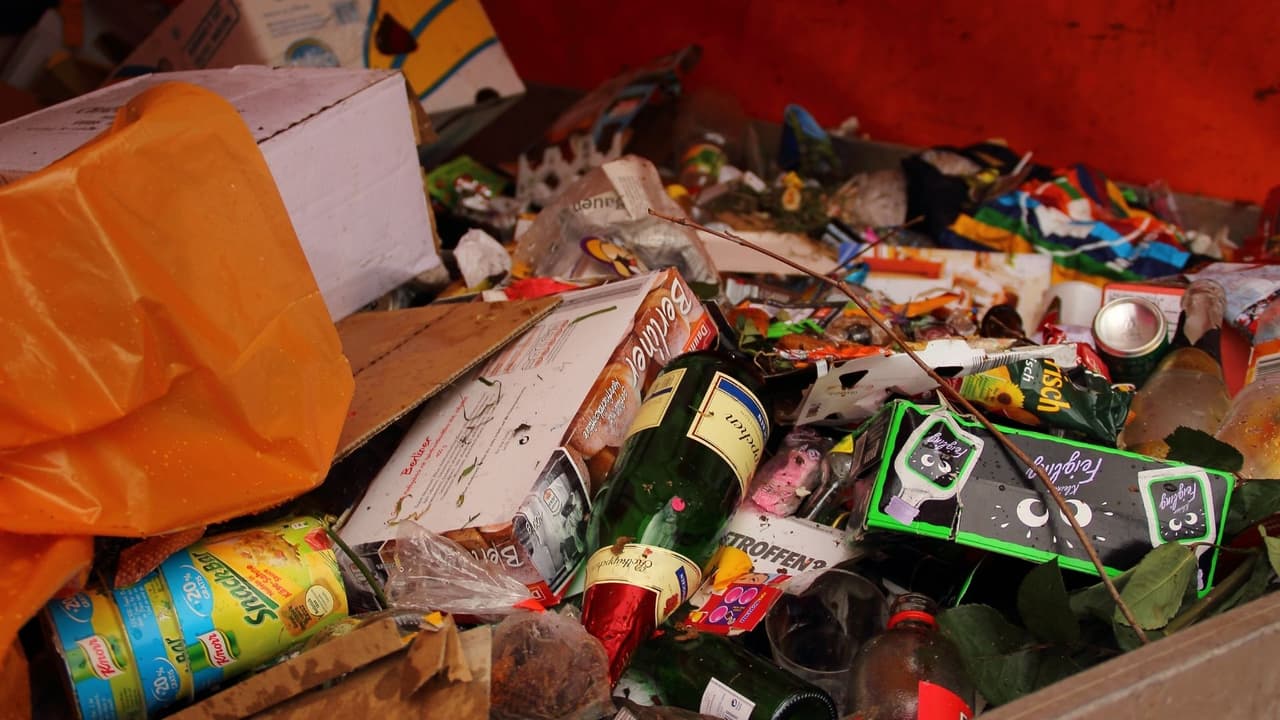 Los 
<b>botes de basura son lugares preferidos</b> para las serpientes y más si estos tienen roedores pues son su alimento. Lo recomendable es que mantengas estos contenedores cerrados.