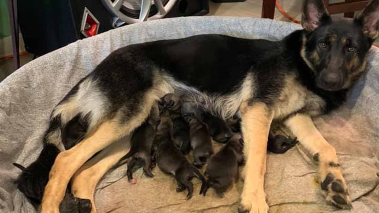Griselda Hurlston· "Saludos desde Baton Rouge la y vamos a ganar Astros si se puede".