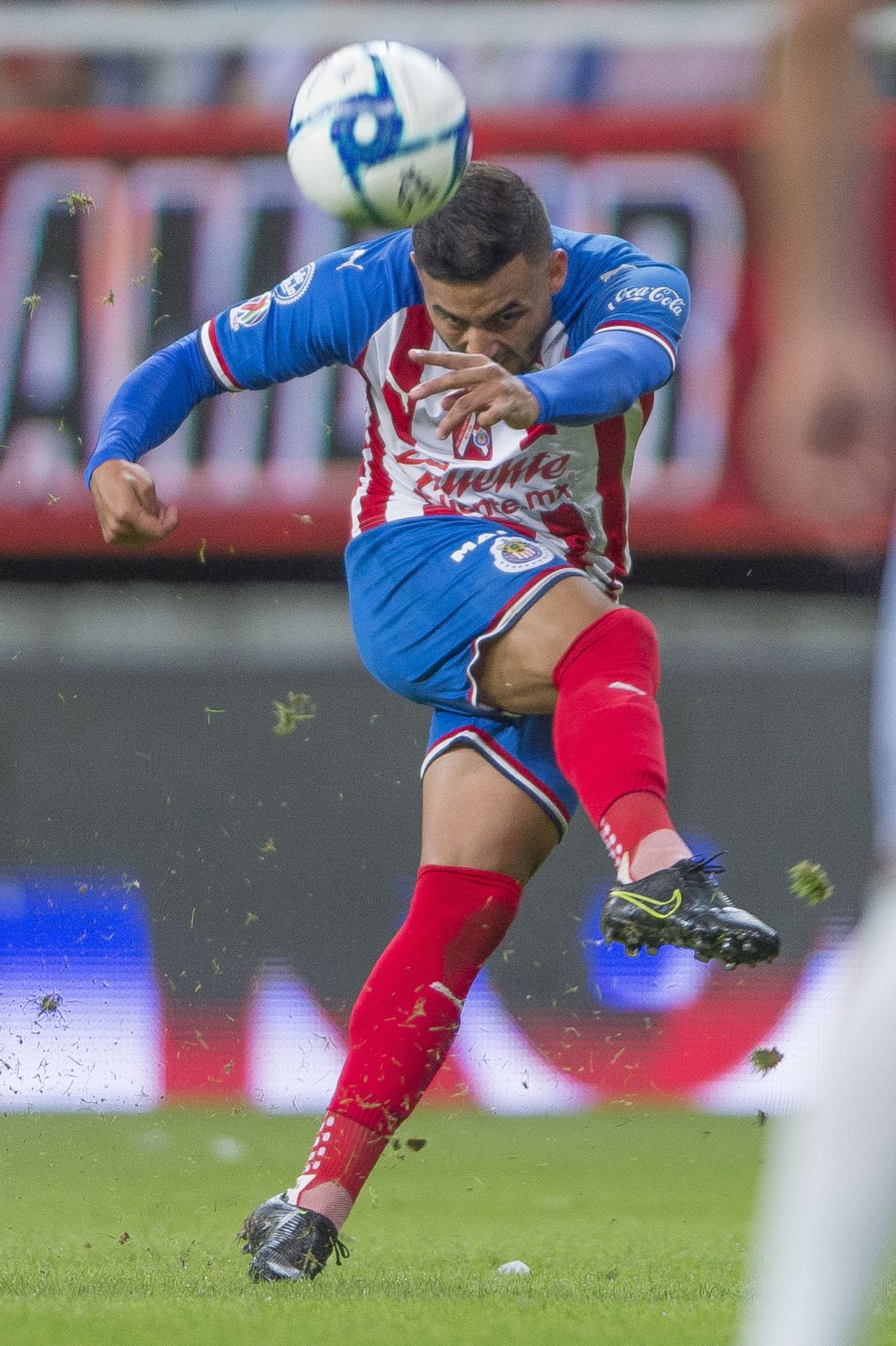 Chivas venció 3-1 a los Tiburones Rojos y así concluyen su participación durante el Apertura 2019.