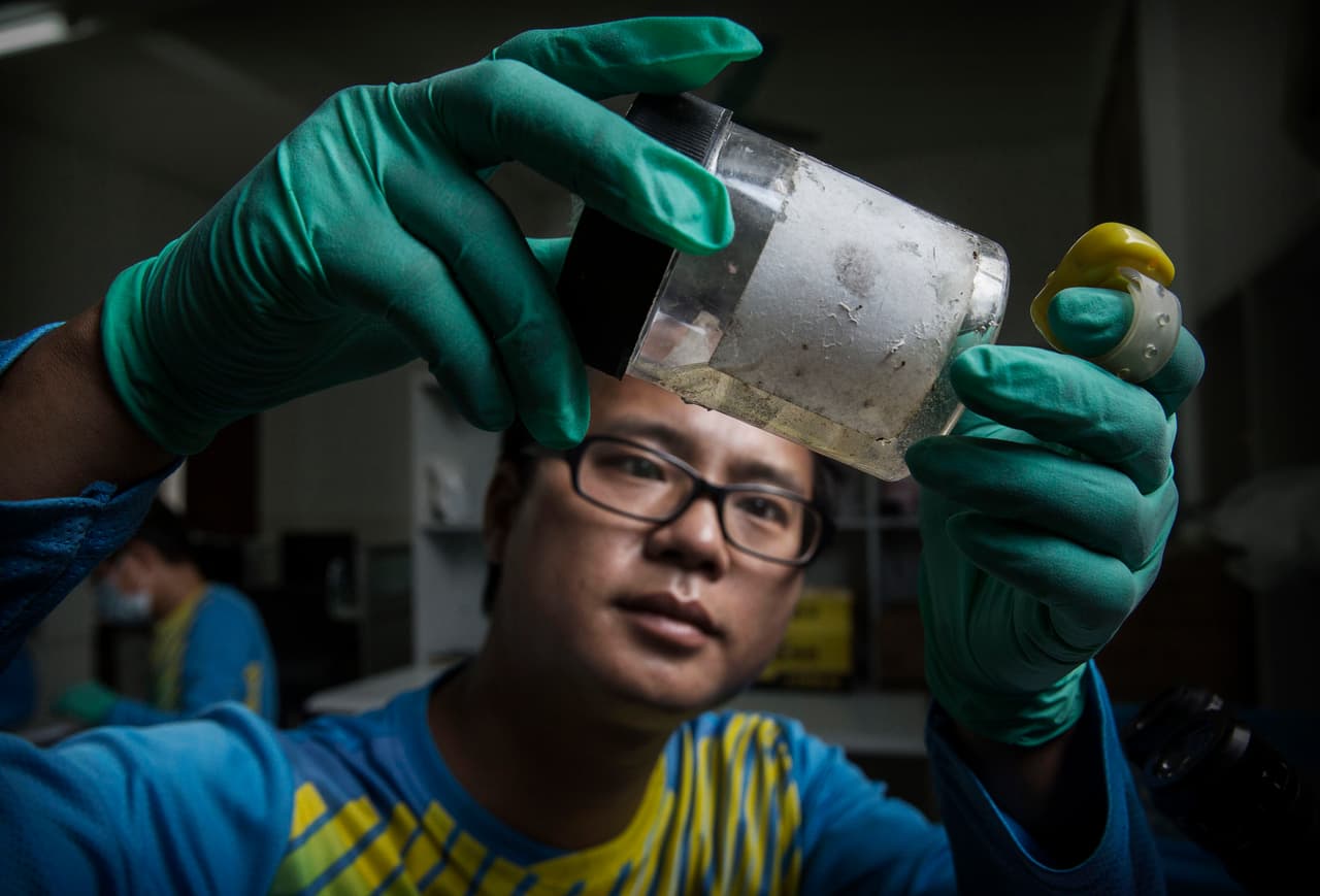 Aún no se ha descubierto una vacuna o medicamento que pueda prevenir el zika ni el dengue.