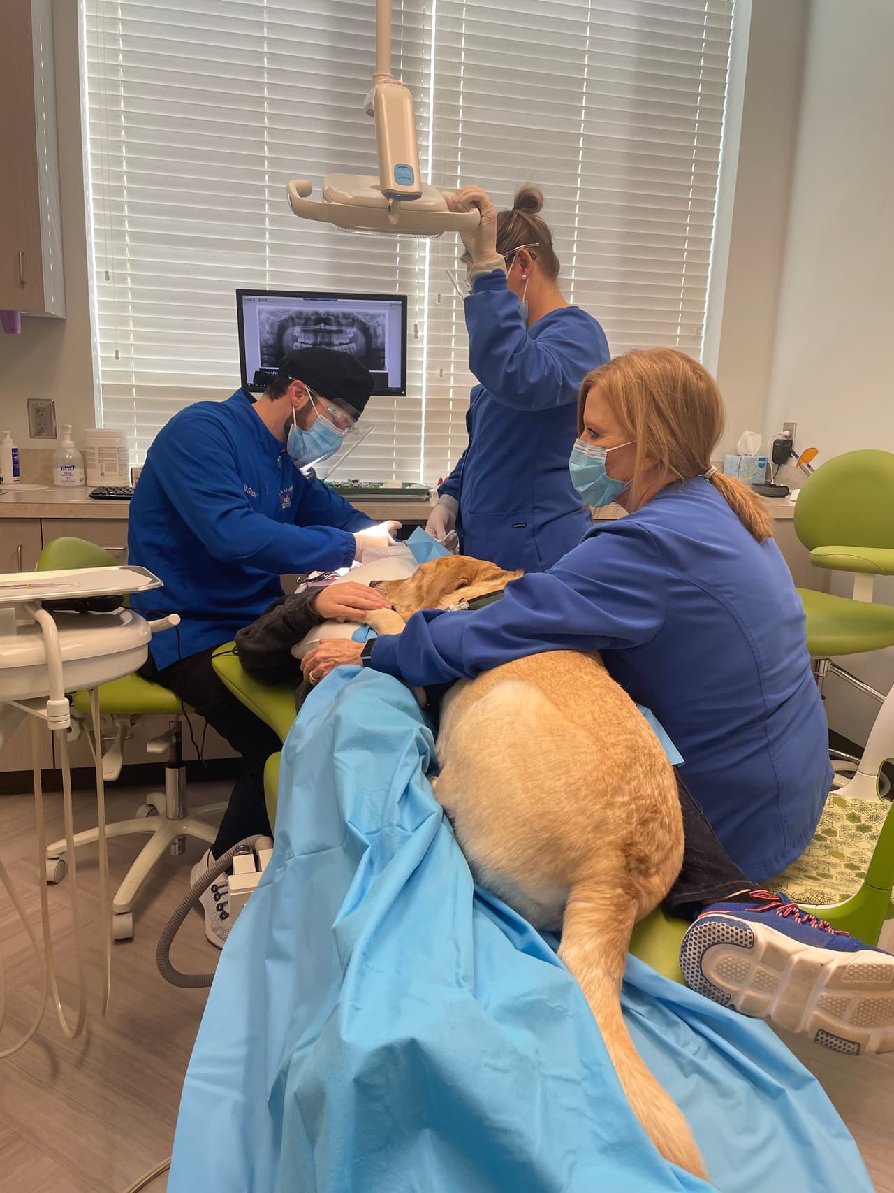 Levi McAllister acaricia el pelo de Atkins mientras el dentista trabaja en la extracción de dos dientes de Levi.