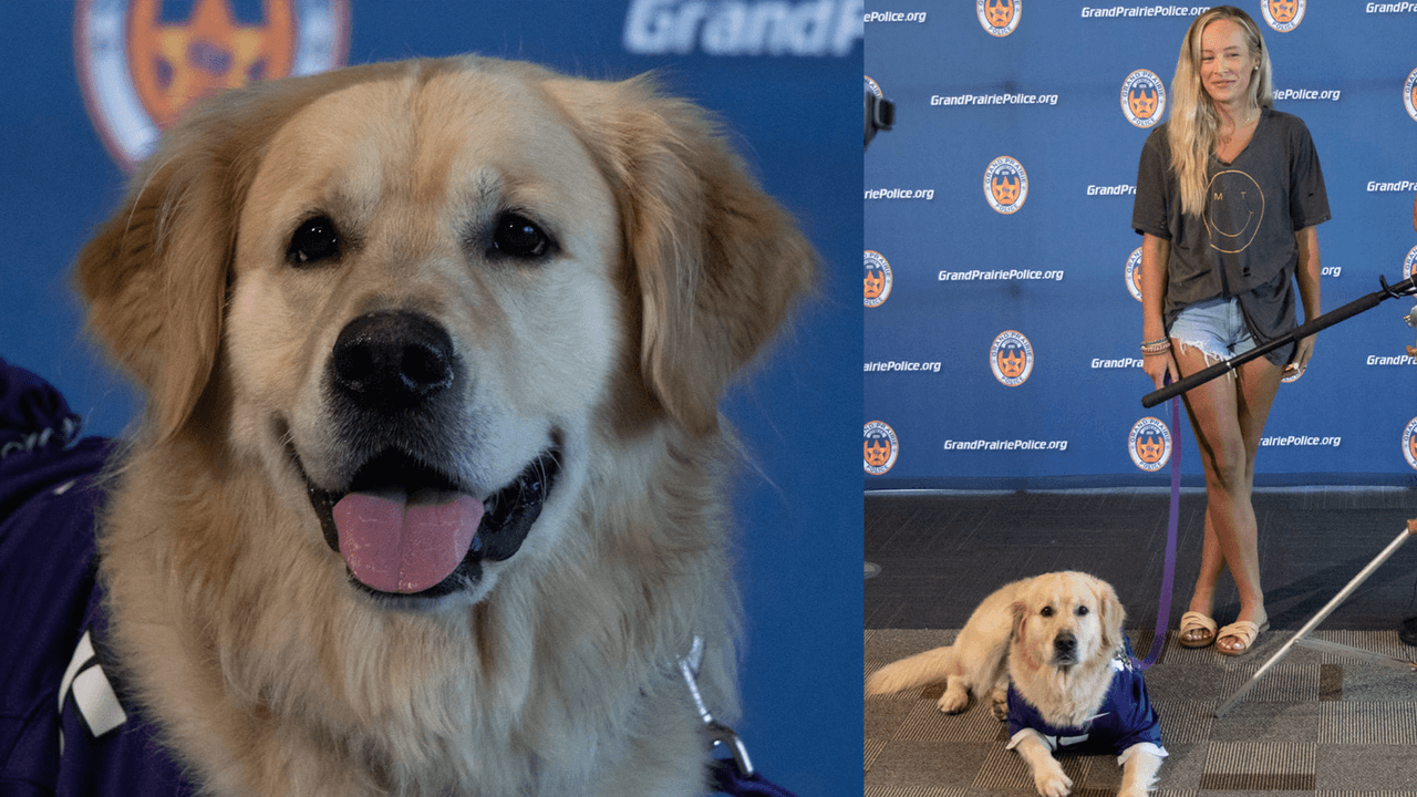 "La protección de Dios en nuestras vidas": mujer encuentra a su perro luego que un ladrón lo robara