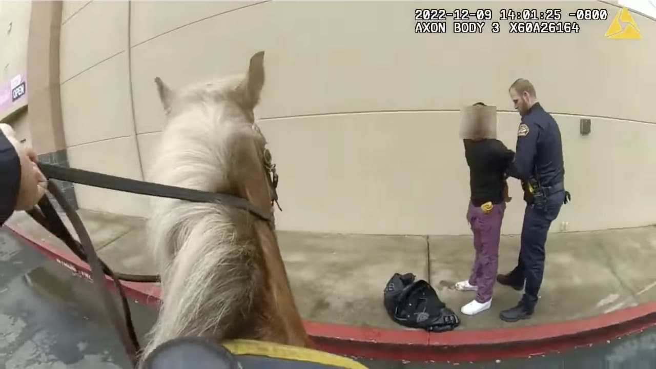 Como en el viejo oeste; policía montada detiene a ladrones en Folsom