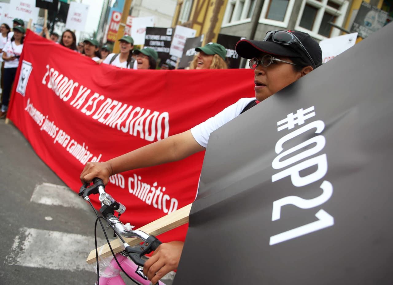Unas 250 personas se congregaron en Lima, la capital de Perú.