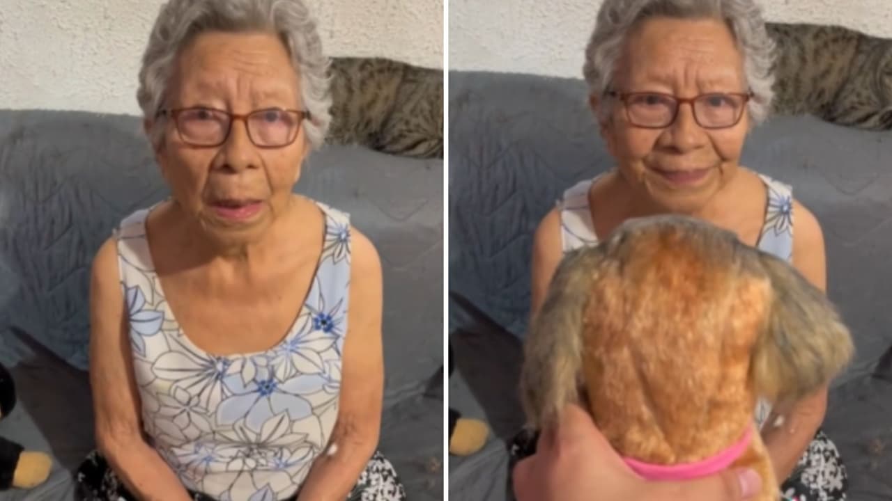 Joven regala a su abuela muñeco de peluche de su perrita muerta: internautas dicen es idéntica
