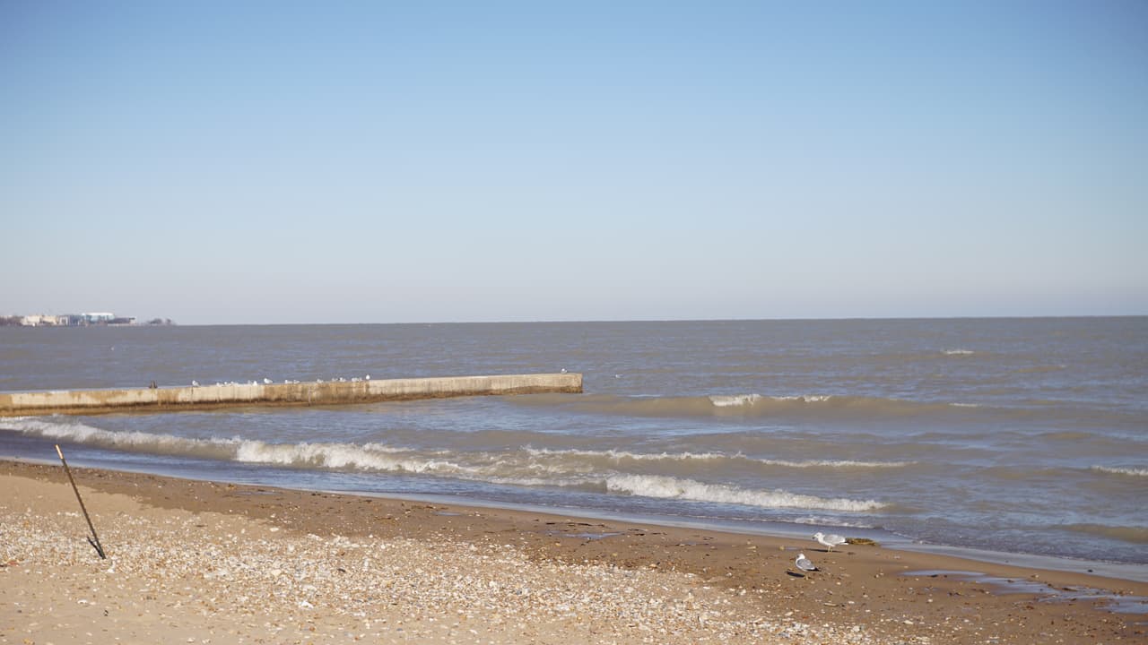 Lo que buscan colocar en Howard y Rogers “soportaría el clima”, dijo Perkins a Noticias Univision Chicago.