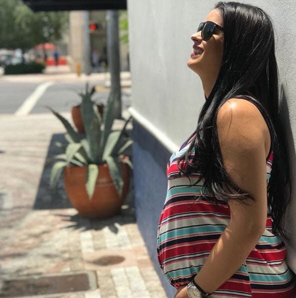 “Qué felicidad tan grande tengo, mi hija desde la panza se hace notar. Una de las cosas que más disfruto en esta etapa es sentir cómo se mueve dentro de mi barriga y poder conectar con ella desde antes de nacer”, escribió Vanessa en Instagram.
<br>