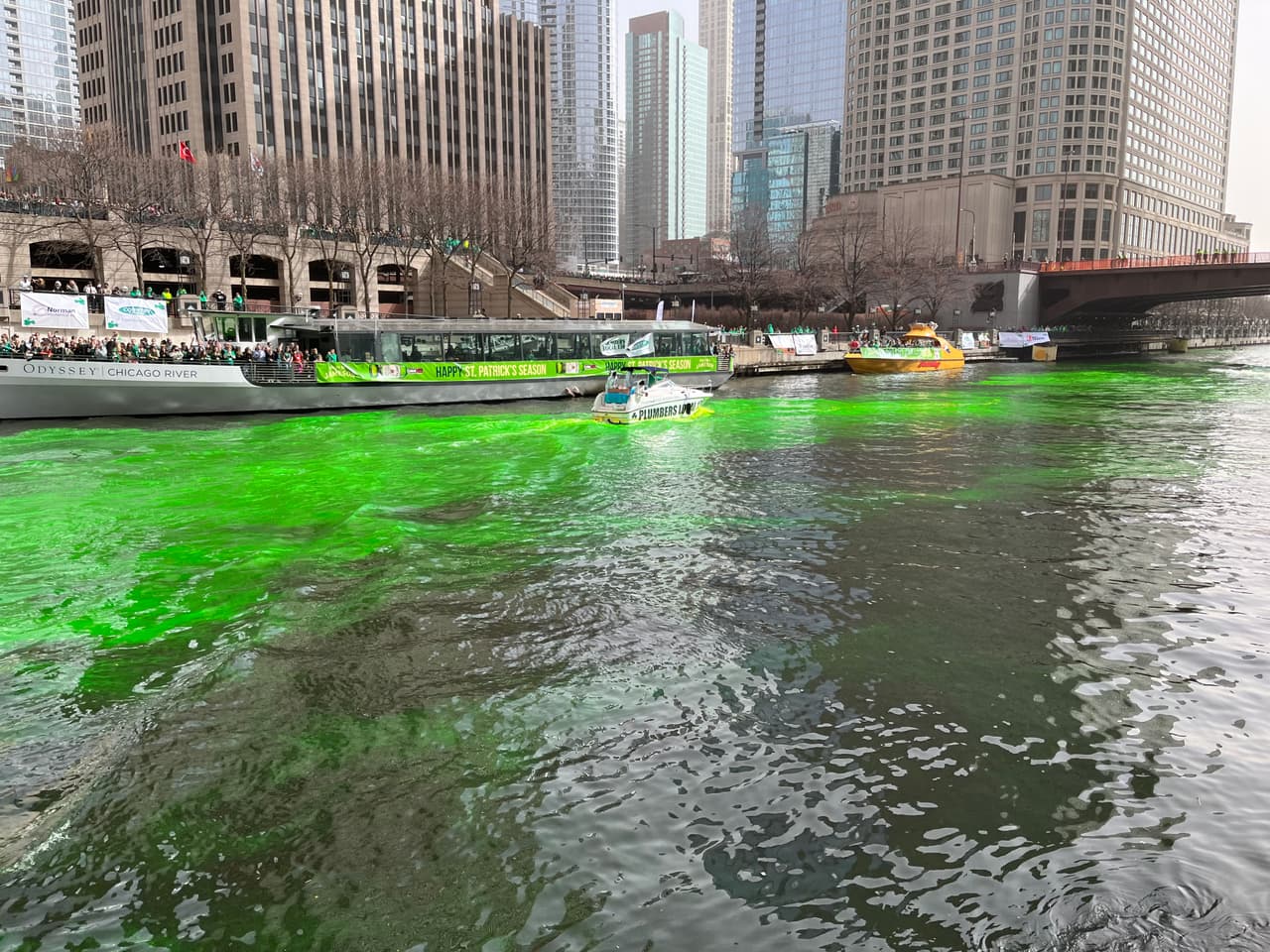 Este año continuará la tradición de más de 60 años que consiste en transformar el Chicago River en un paisaje verde esmeralda, tiñendo sus aguas para la sorpresa de todos los asistentes.