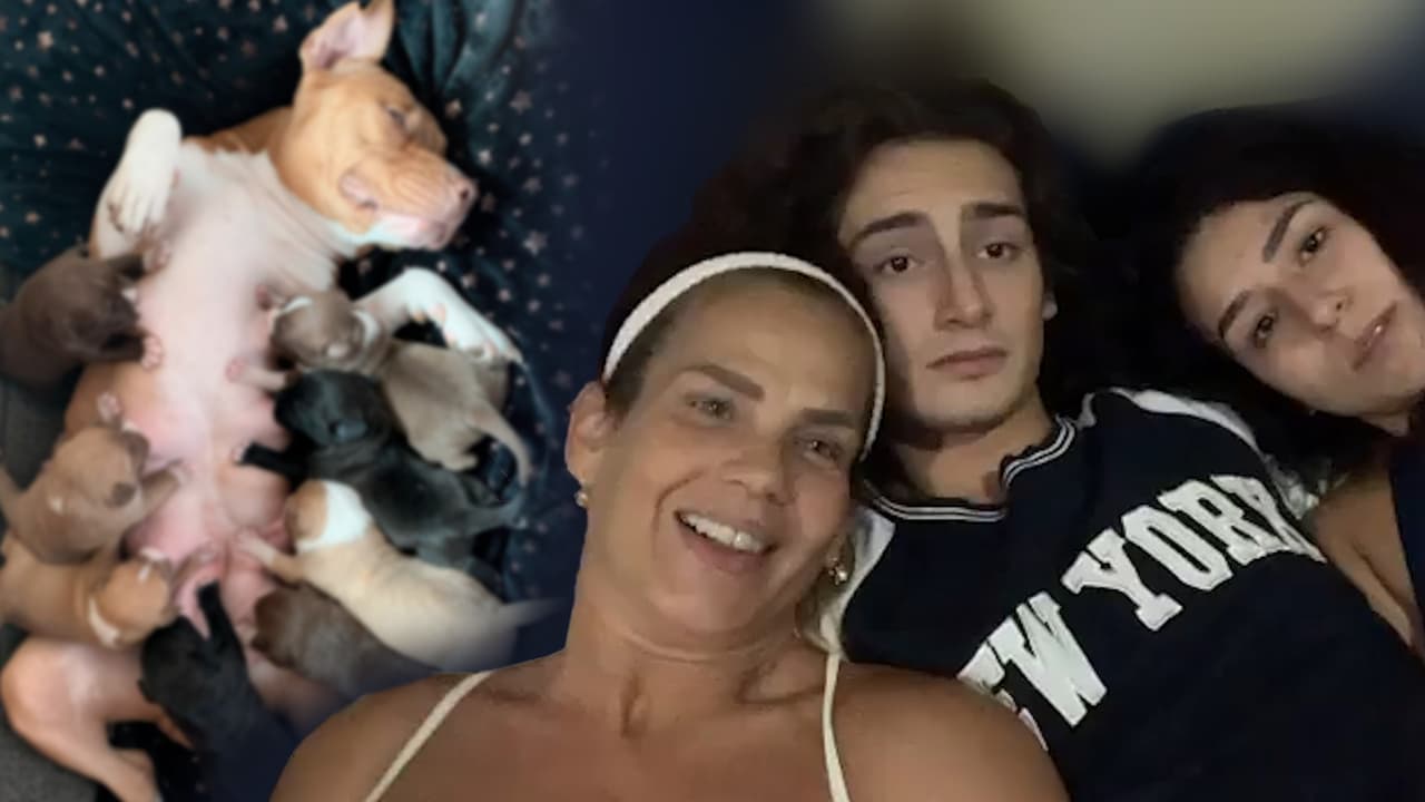 En video: el momento en que Niurka Marcos y sus hijos Emilio y Romi atienden la crisis en el parto de Samay