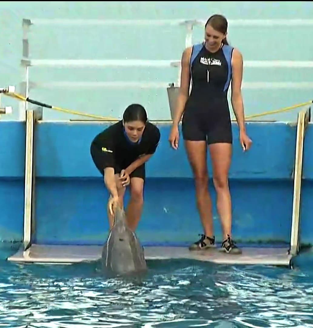 Lachapel disfrutó alimentar a los delfines en la entrañable visita al Miami Seaquarium.