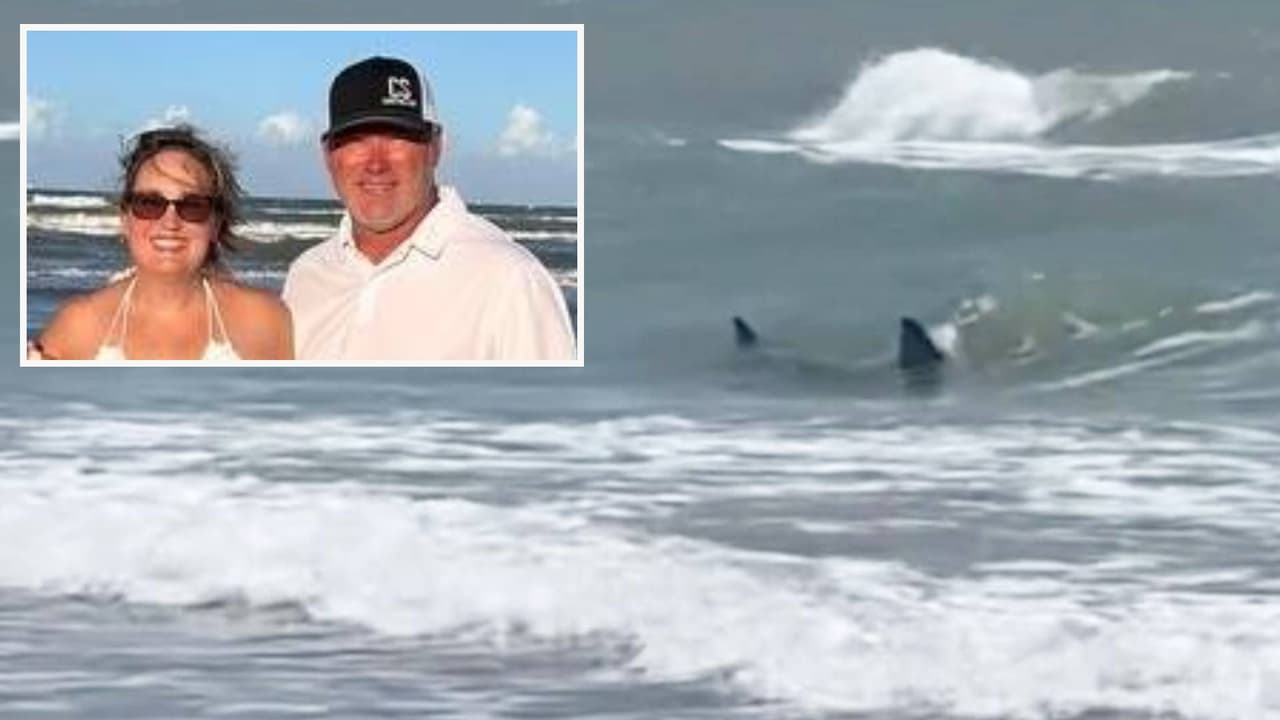 “Estaba persiguiéndome”: el relato de la mujer que sobrevivió al ataque de un tiburón en la Isla del Padre