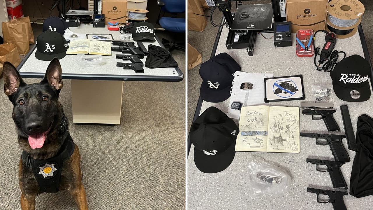 Seis estudiantes de Santa Rosa arrestados por apuñalamiento vinculado a pandillas 