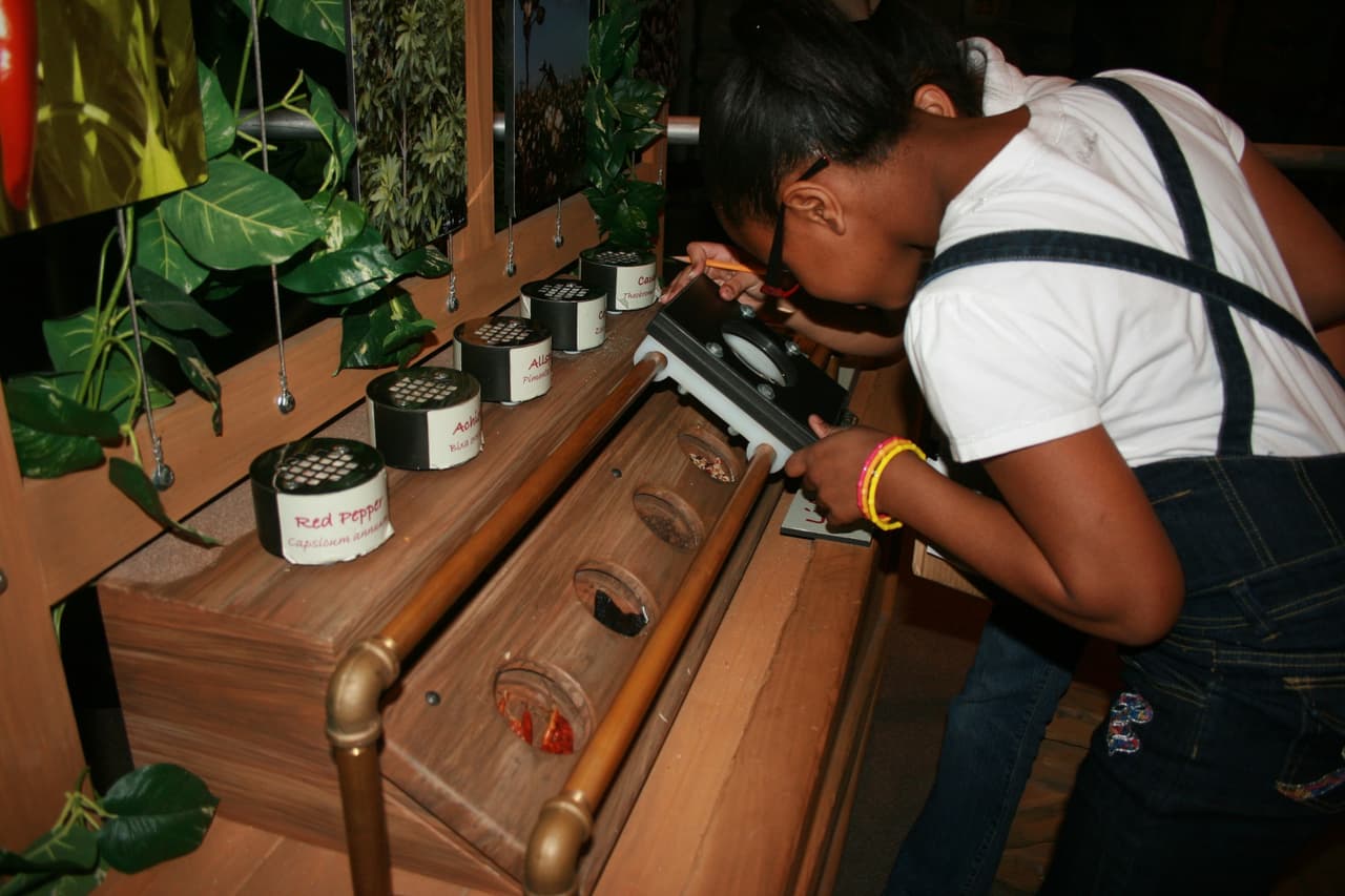 La exhibición abrirá al público el 1 de junio a partir de las 12 pm. Esta exhibición ha sido desarrollada en colaboración con Discovery Network y forma parte de un programa del Museo del Descubrimiento en Little Rock, Arkansas.