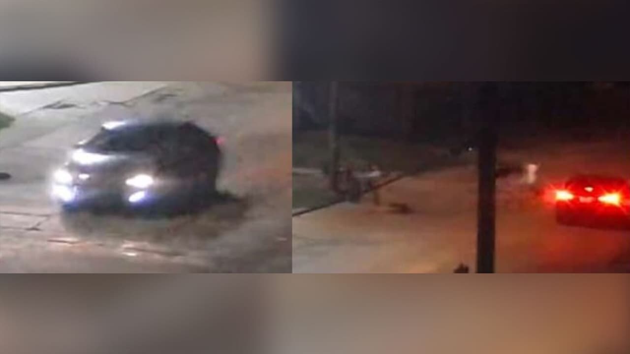 Buscan a sospechoso que atropelló y mató a una mujer en Dallas