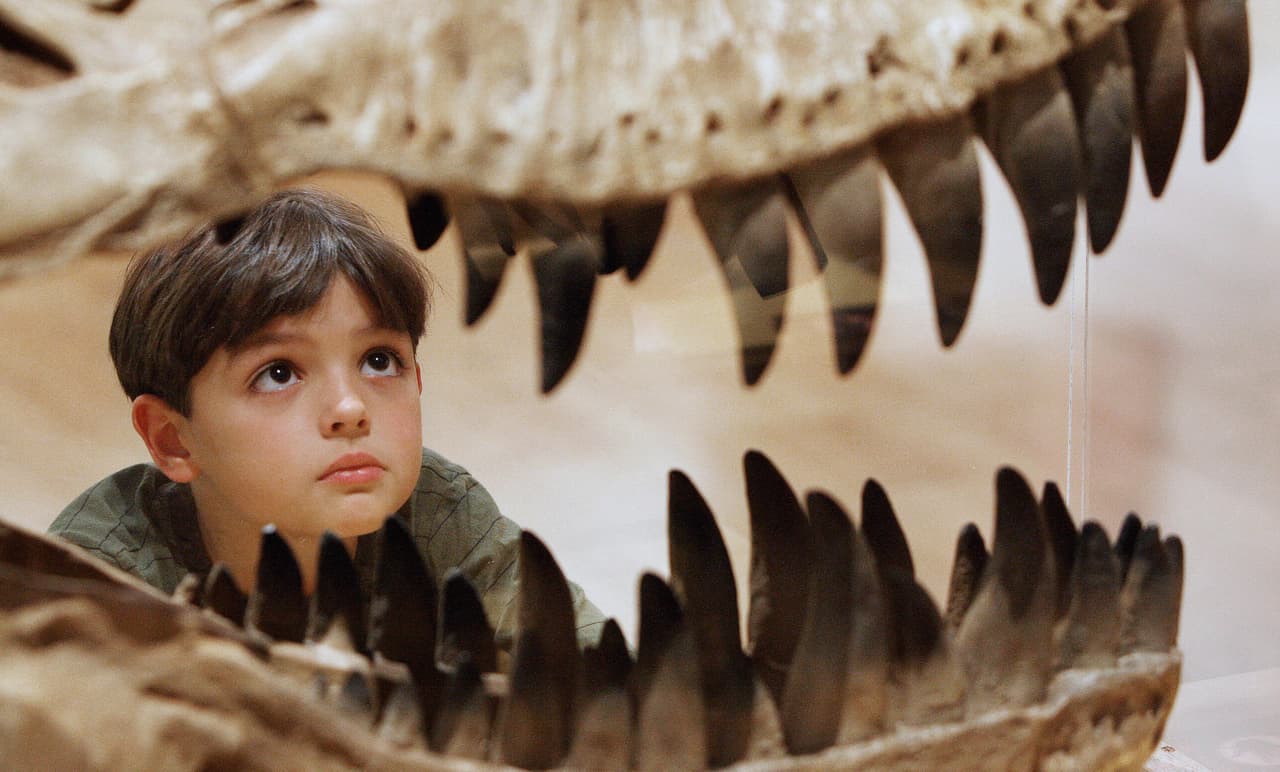 Por qué es importante lograr que los museos sean gratuitos