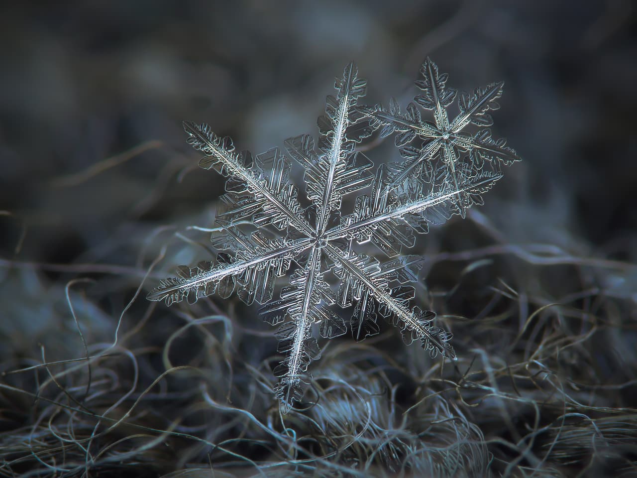 Un cristal de nieve se va formando mientras va dando tumbos por dentro de las nubes. En este transcurso, los cambios en temperatura y humedad definen la forma final que este va a tener.