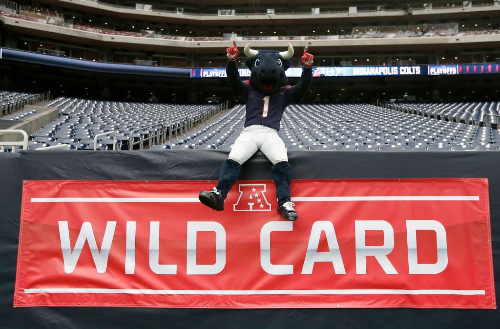 Toro anima a los Houston Texans.