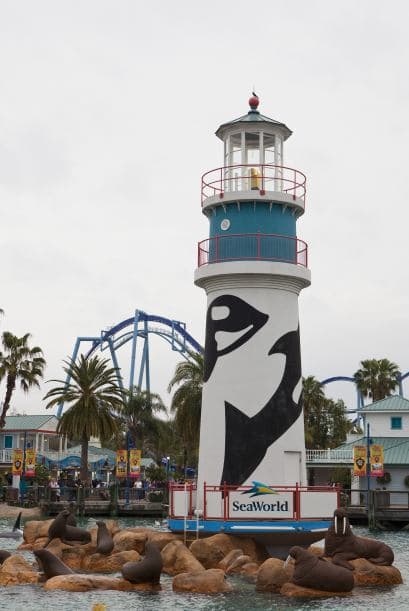 A las afueras del parque no cesan las protestas por parte de las organizaciones ambientales como: Personas por el Trato Ético de los Animales (PETA) quienes argumentan 'no es la naturaleza de ellos estar en cautiverio'.