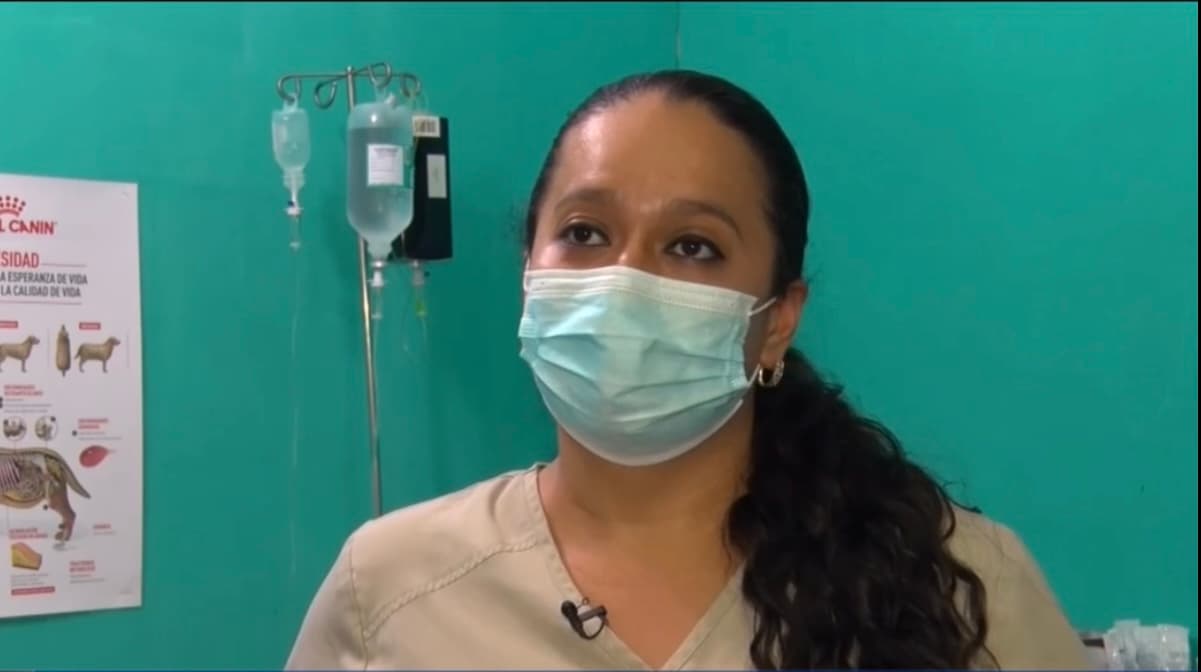 “Nos dijo que necesitaba ayuda con un
<a href="https://www.univision.com/temas/ninos">niño</a>,
<b>pero nunca nos imaginamos que se trataba de un parto”</b>, cuenta Jennifer Toledo, directora de la Fundación Fichulais. A pesar de que desde la veterinaria también llamaron a los servicios de emergencia, el hecho de ver a la madre con necesidad de oxígeno y sin que la ayuda médica se hiciera presente, pronto todo el personal de la veterinaria supo que tendrían que ponerse manos a la obra.
<br>
<br>