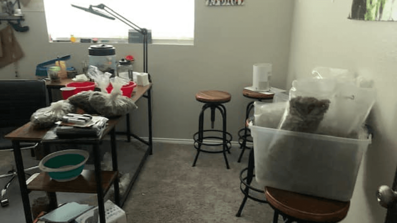 En la residencia donde estaba descubrieron que tenía armas, más de 5 kilogramos de marihuana, hongos mágicos, cartuchos de THC, entre otras drogas.