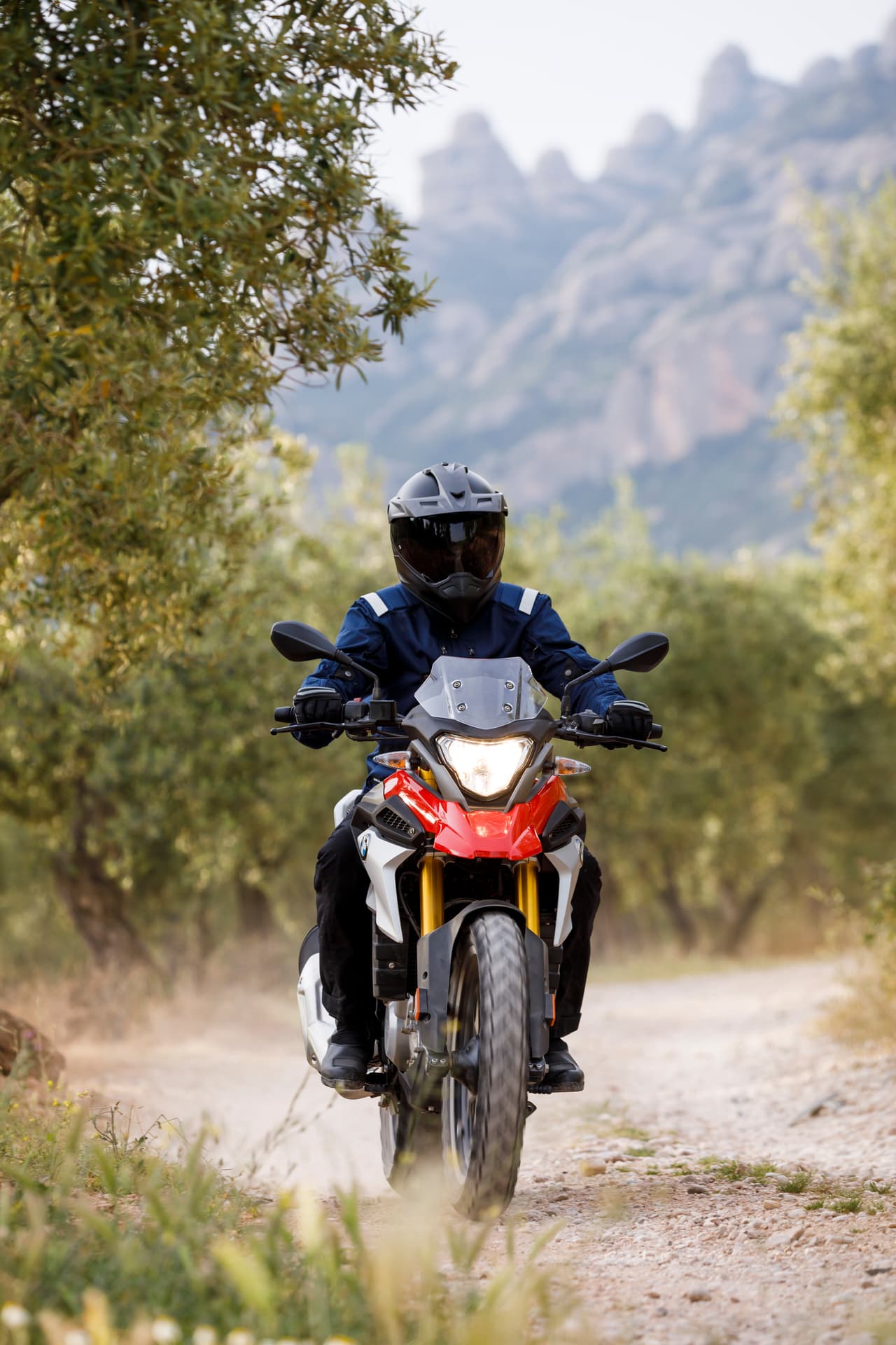BMW G 310 GS