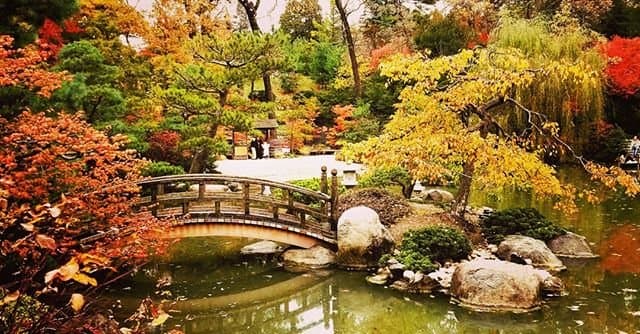 • Tour de 
<a href="https://www.enjoyillinois.com/illinois-road-trips/tour-of-spookiness-and-charm/" target="_blank">Spookiness and Charm de Rockford</a> a Galena: destacando las vistas escénicas de otoño como las hojas cambiantes en Anderson Japanese Gardens en Rockford, deslizándose hacia la temporada en el tobogán alpino en Chestnut Mountain Resort en Galena y haciendo un recorrido fantasma por la histórica Main Street en Galena.