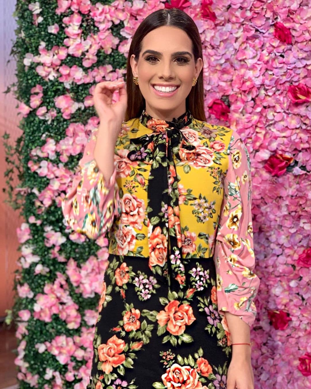 La noticia del embarazo de Andrea Chediak fue recibida con gusto y emoción por todos sus amigos y compañeros en el show, que inmediatamente reaccionaron ante la feliz noticia.