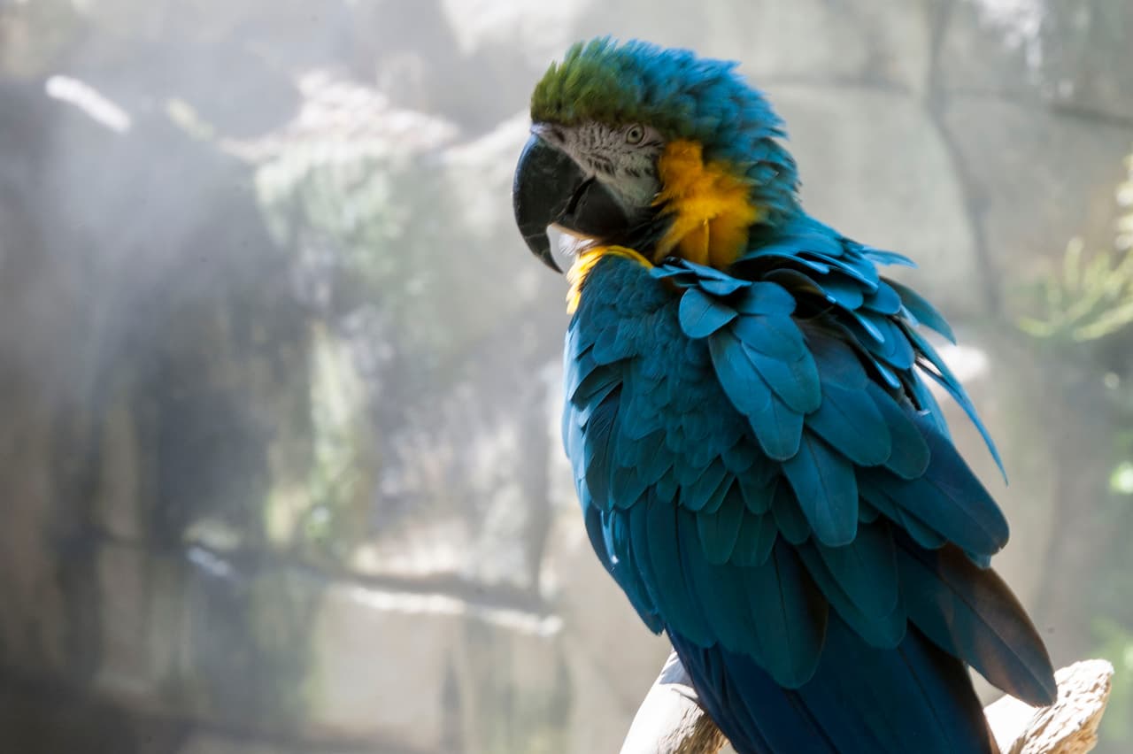 Un bello dia fue perfecto para las familias desde Bakersfield a Modesto.