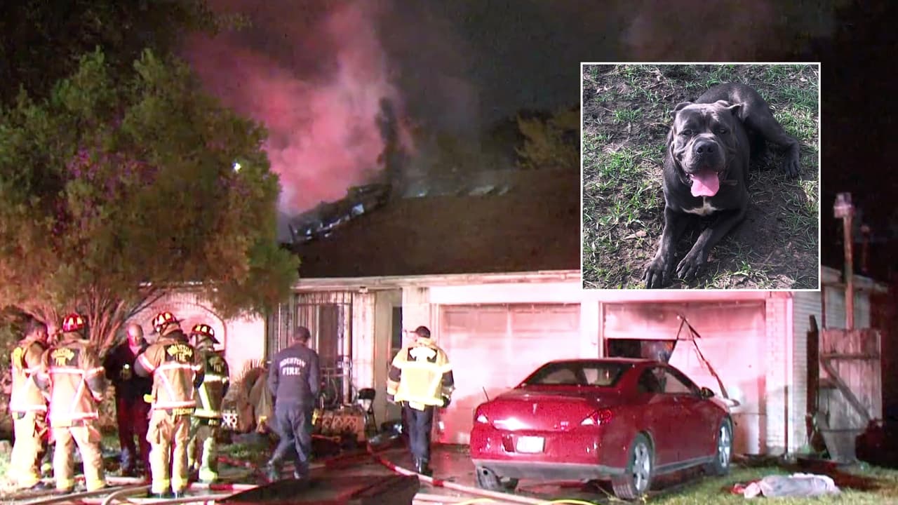 Muere Cane, el perro de una pareja de adultos mayores, durante un incendio al noreste de Houston