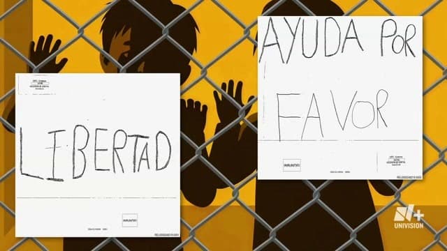 En Video: Lo mejor de la semana en N+ Univision del 8 de agosto del 2026