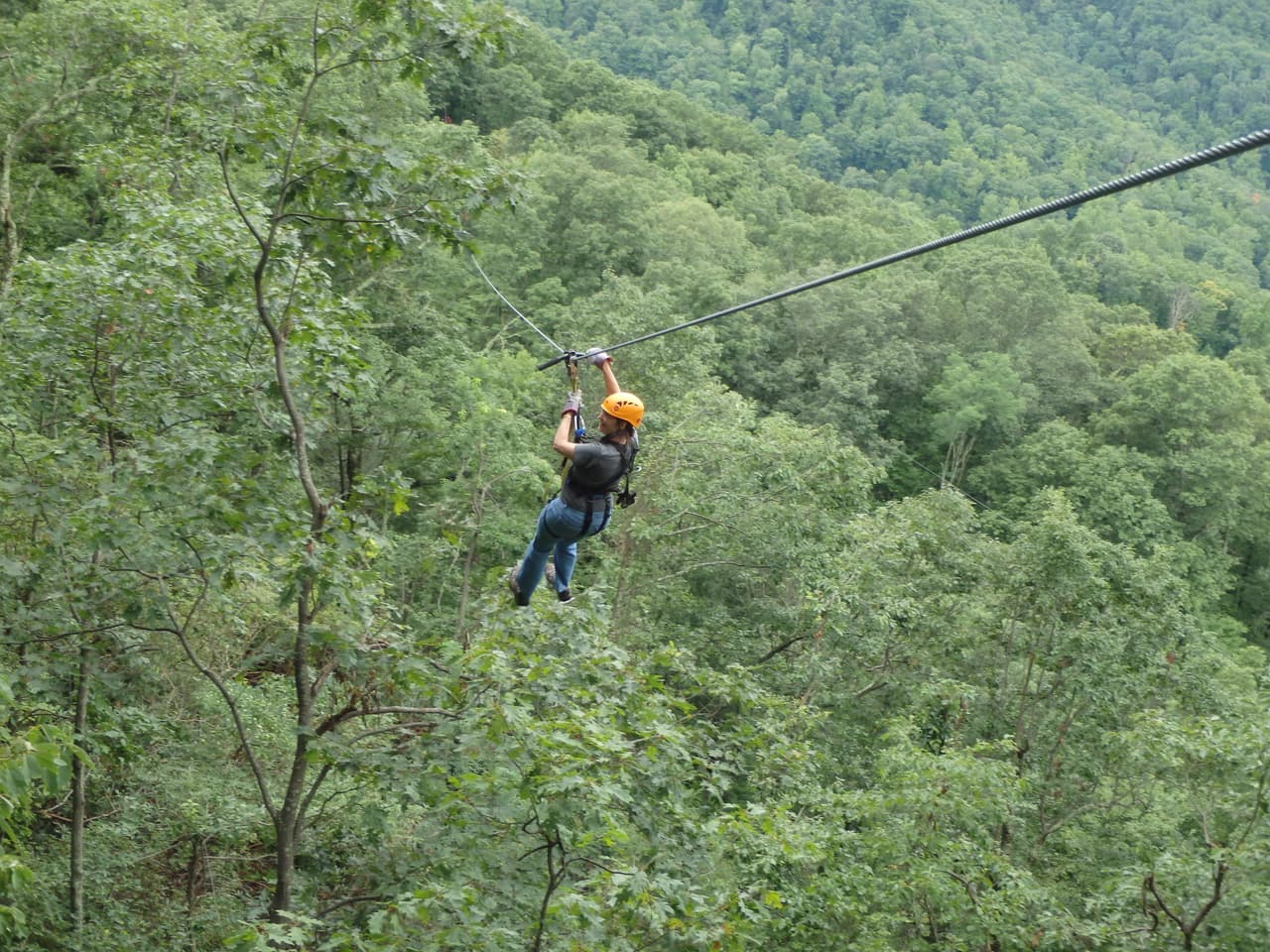 <b><a href="http://thegorgezipline.com/">The Gorge Zipline Canopy Tour</a></b>. Ubicado en el borde de Green River Gorge en Saluda, Carolina del Norte, The Gorge es una aventura de Zip Lines basada en árboles con 11 tirolesas, puentes aéreos y 3 rápeles de caída libre, con una altura sin precedentes de 1,100 pies a través de 105 acres de bosque antiguo y protegido
<br>
<br>
<b><a href="https://goo.gl/maps/CncsA1UfhMzZr3Gd7">Cómo llegar</a> </b>