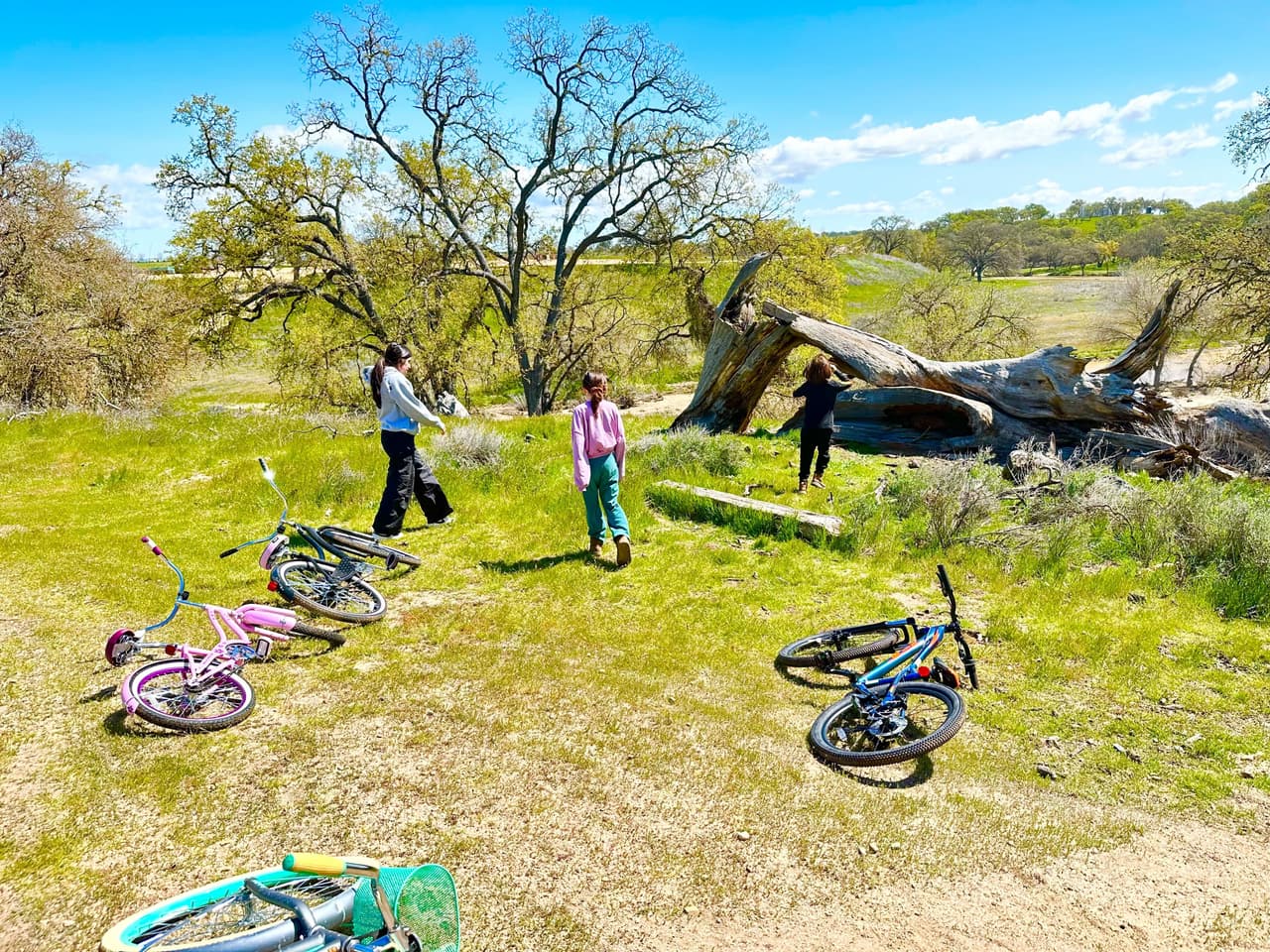 <h3 class="cms-H3-H3"><b>¿Busca las mejores rutas de senderismo?</b> </h3>
<br>
<br>Ya sea para caminar o andar en bicicleta Paso robles tiene 7 senderos panorámicos y 6 de ellos son rutas fáciles para los niños, así que vaya planeando su viaje familiar. 
<br>