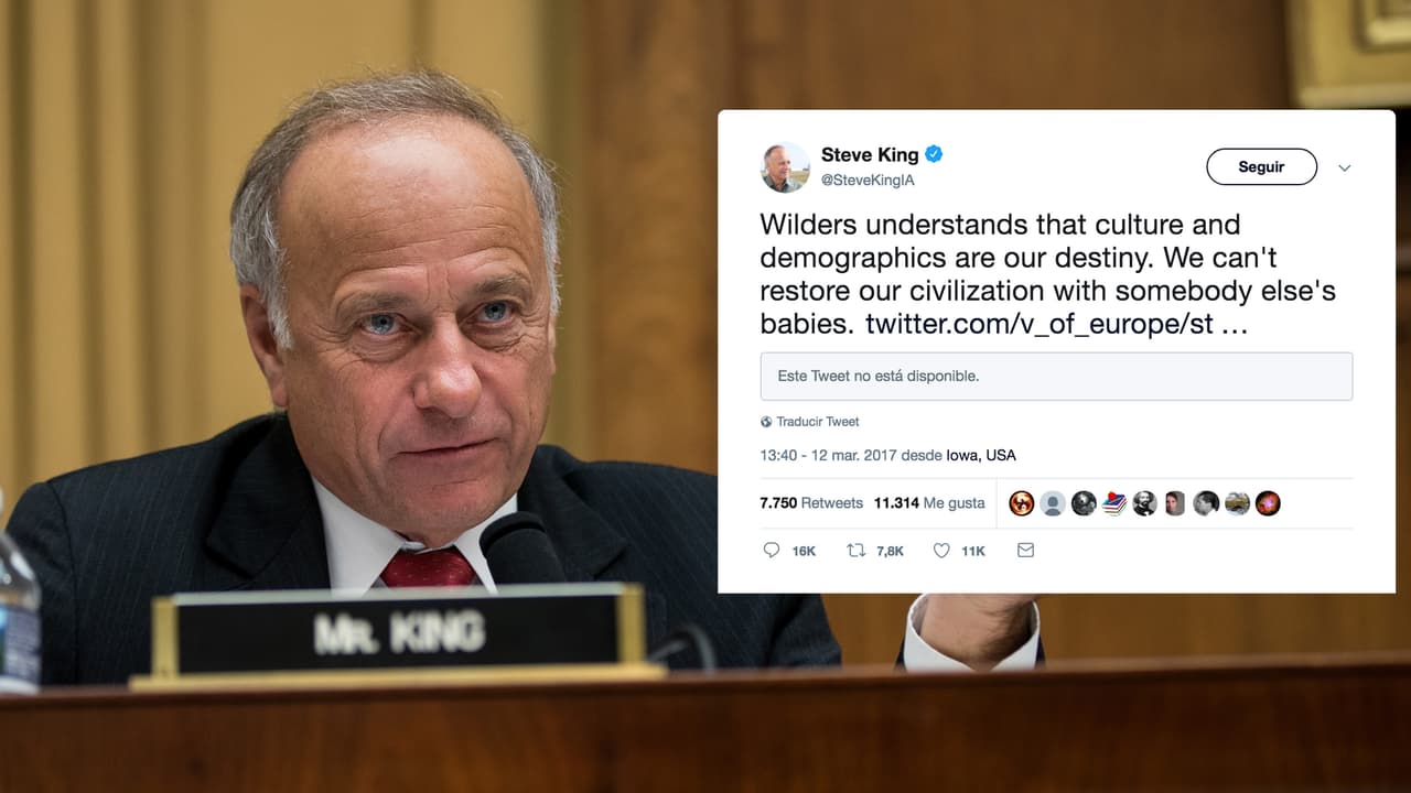 Jennifer Mendelsohn comenzó el movimiento #resistancegenealogy luego de que el congresista republicano Steve King publicara en su Twitter: "No podemos restaurar nuestra civilización con los bebés ajenos".