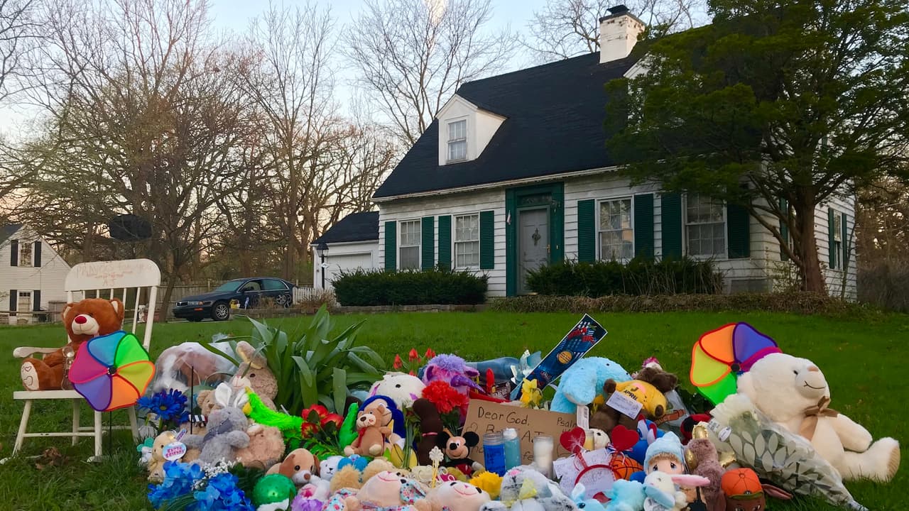 <a href="https://www.univision.com/local/chicago-wgbo/voluntarios-se-unen-a-la-busqueda-del-pequeno-andrew-aj-freund-desaparecido-hace-cinco-dias-en-crystal-lake-video">Voluntarios se unen a la búsqueda</a>
<b>. </b>La comunidad preocupada por el menor crea un grupo en Facebook para compartir novedades.